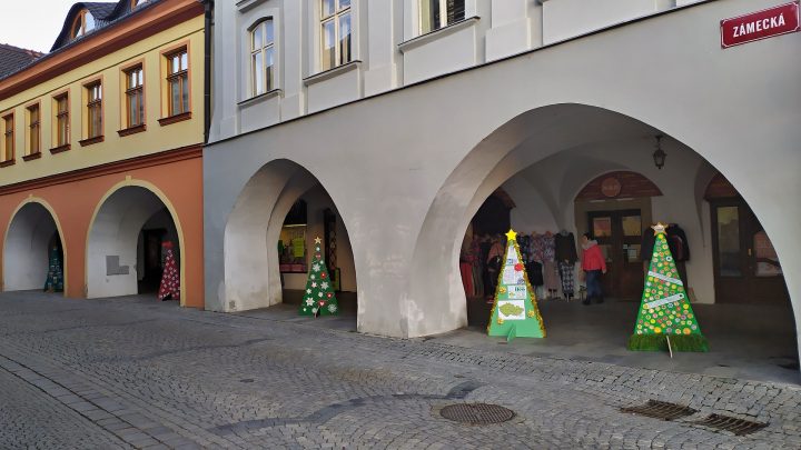 Výstava vánočních stromků
