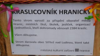 Kraslicovník hranický / fotogalerie / foto: Jiří Necid