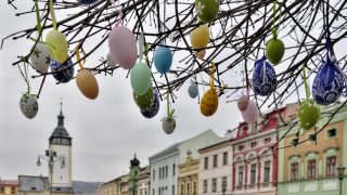 Kraslicovník hranický / fotogalerie / foto: Jiří Necid