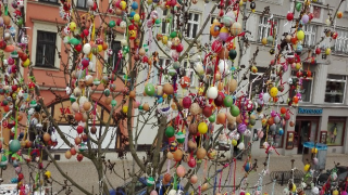 Kraslicovník na náměstí / fotogalerie / Foto: Ivana Žáková