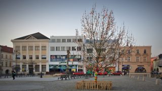 Kraslicovník na náměstí / fotogalerie / Loni ozdobil kraslicovník náměstí poprvé. Foto: Jiří Necid
