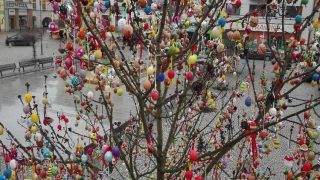 Kraslicovník na náměstí / fotogalerie / Foto: Ivana Žáková