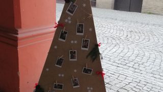Výstava vánočních stromků / fotogalerie / MŠ Drahotuše, foto: Ivana Žáková