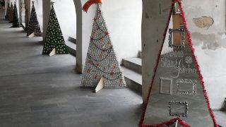 Výstava vánoční stromků zdobí podloubí