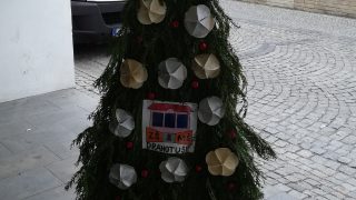 Výstava vánočních stromků / fotogalerie / ZŠ a MŠ Drahtouše, foto: Ivana Žáková