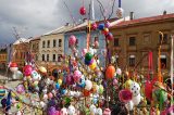 Kraslicovník oživuje centrum Hranic / fotogalerie / Kraslicovník na Masarykově náměstí, foto: Ivana Žáková