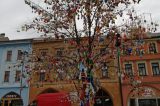 Kraslicovník oživuje centrum Hranic / fotogalerie / Kraslicovník na Masarykově náměstí, foto: Ivana Žáková