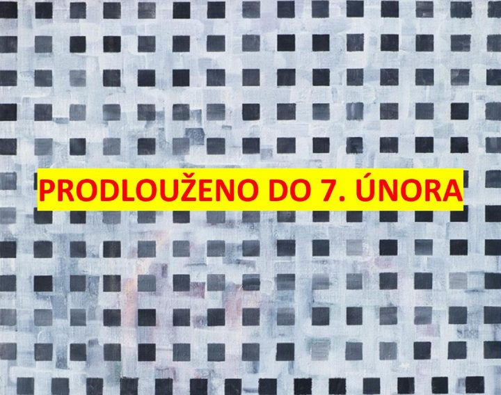 Lubomír Jarcovják – Prohled
