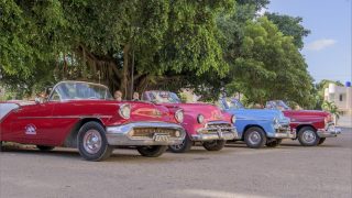 Pavel Dačický – Srí Lanka a Cuba / fotogalerie / Pavel Dačický - Srí Lanka a Cuba, foto: archiv Pavla Dačického