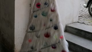 Výstava vánočních stromků / fotogalerie / Krejčoství Hugo, foto: Ivana Žáková