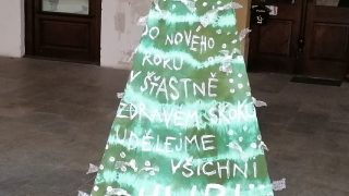 Výstava vánočních stromků / fotogalerie / Klub seniorů Hranice, foto: Ivana Žáková