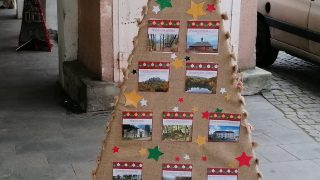 Výstava vánočních stromků / fotogalerie / Městská kulturní zařízení –Turistické informační centrum Hranice, foto: Ivana Žáková
