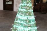 Vánoční stromky zkrášlují horní a dolní podloubí / fotogalerie / Klub seniorů Hranice, foto: Ivana Žáková