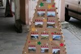 Vánoční stromky zkrášlují horní a dolní podloubí / fotogalerie / Městská kulturní zařízení –Turistické informační centrum Hranice, foto: Ivana Žáková