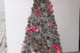Vánoční stromky zkrášlují horní a dolní podloubí / fotogalerie / MŠ Drahotuše, foto: Ivana Žáková