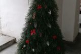 Vánoční stromky zkrášlují horní a dolní podloubí / fotogalerie / Střední lesnická škola Hranice, foto: Ivana Žáková