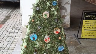 Výstava vánočních stromků / fotogalerie / Dětský domov Hranice, foto: Ivana Žáková
