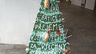 Výstava vánočních stromků / fotogalerie / Klub seniorů, foto: Ivana Žáková