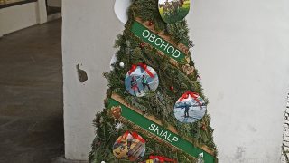 Výstava vánočních stromků / fotogalerie / Nixski Store Velká, foto: Ivana Žáková