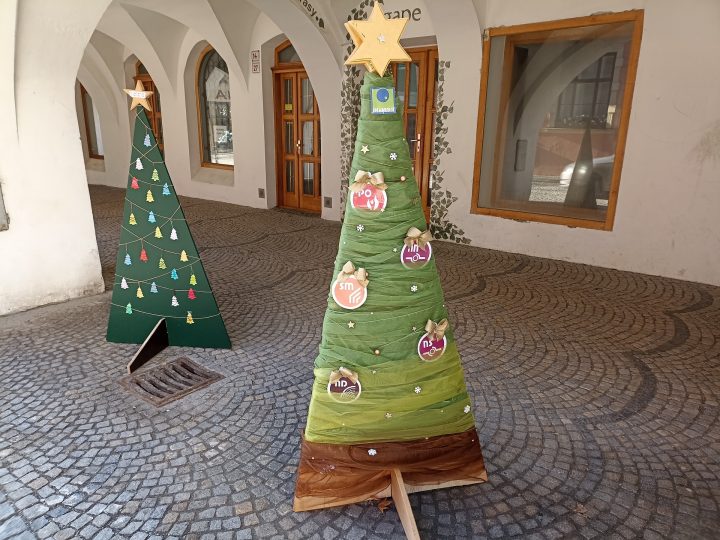 Výstava vánočních stromků