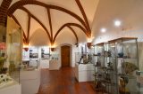 Fotoreportáž z vernisáže výstavy Příběhy hranického muzea / fotogalerie / Příběhy hranického muzea, foto: Jiří Necid