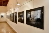 Fotoreportáž z vernisáže výstavy Tajně: Min Tanaka v letech 1985-1988 / fotogalerie / Tajně: Min Tanaka v letech 1985-1988, foto: Jiří Necid